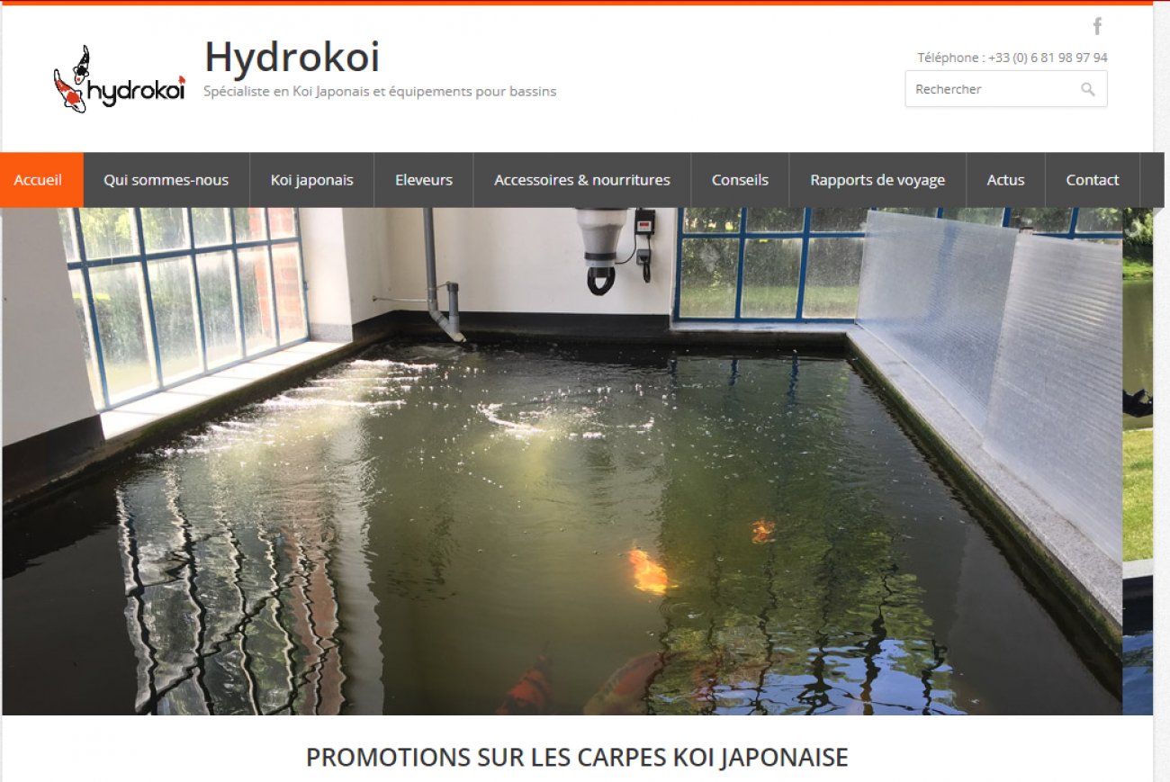 Visitez Hydrokoi