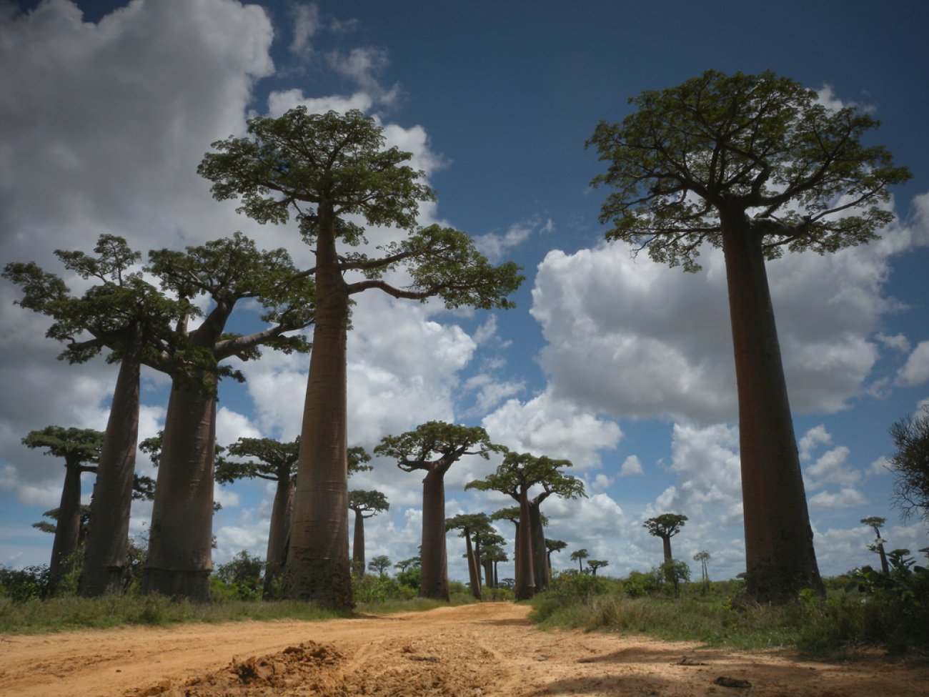 Visitez vacances madagascar