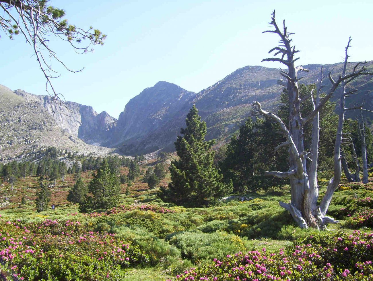 Visitez Randonnée Canigou